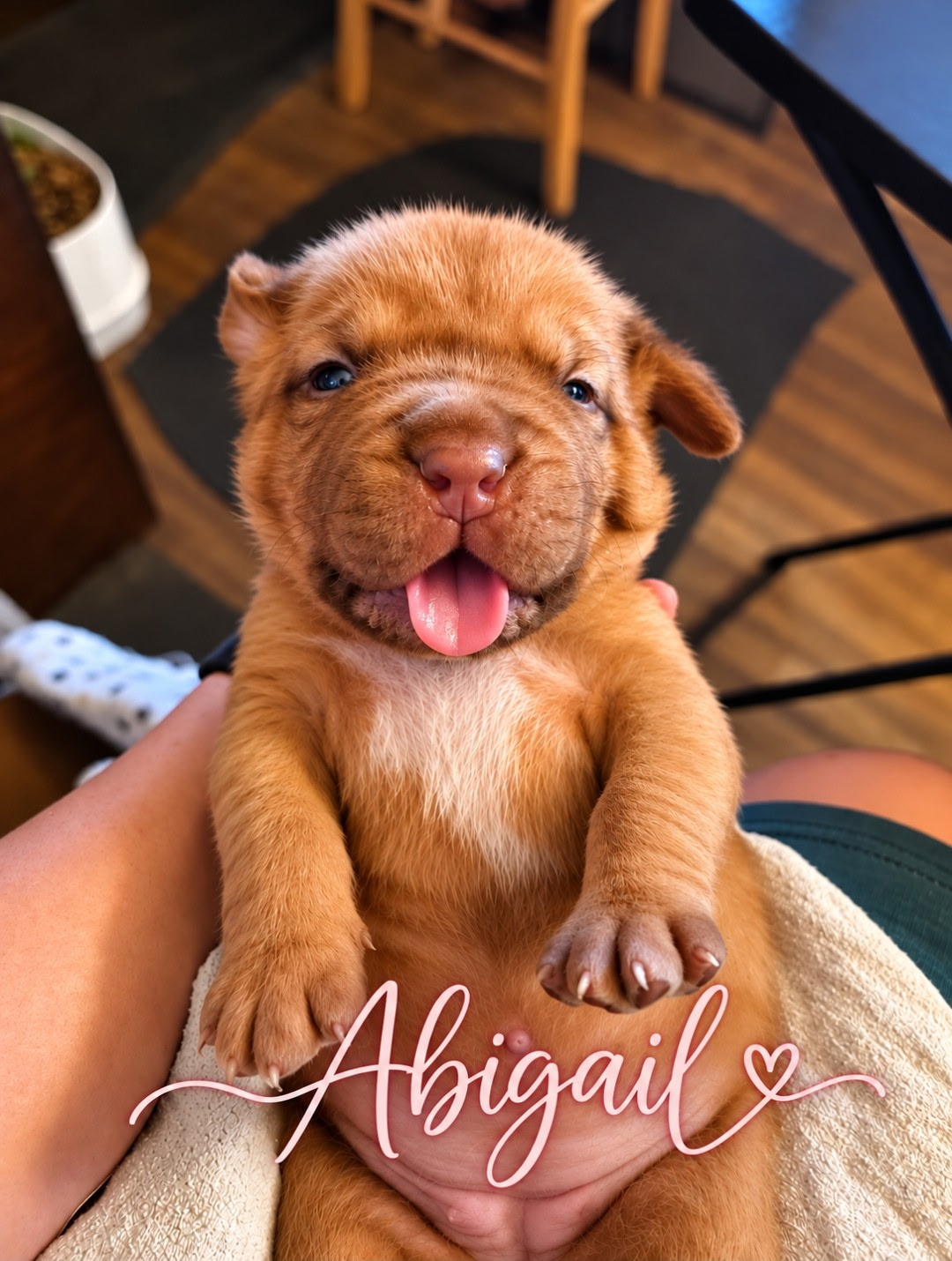ABIGAL 16 DAYS OLD